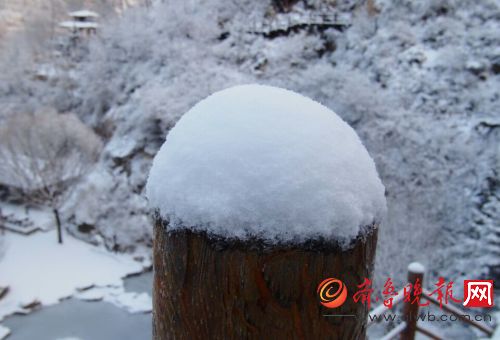 济南实拍：大雪降南山美爆眼球 大片来了！  齐鲁晚报 记者 周青先 摄