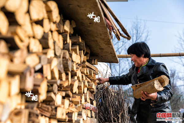 袁道荣正在拿柴火准备做晚饭。