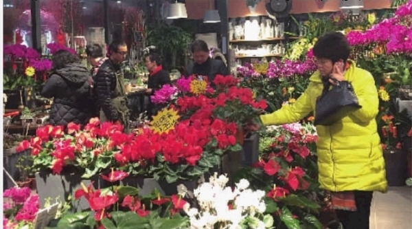 9c552168-4d53-4842-8389-f63bf37ccd81_size182_w600_h333.jpg