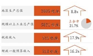 溧水区去年GDP是多少亿元_重磅公报 2019年深圳10 1区GDP排名曝光 有一类 人 暴增65