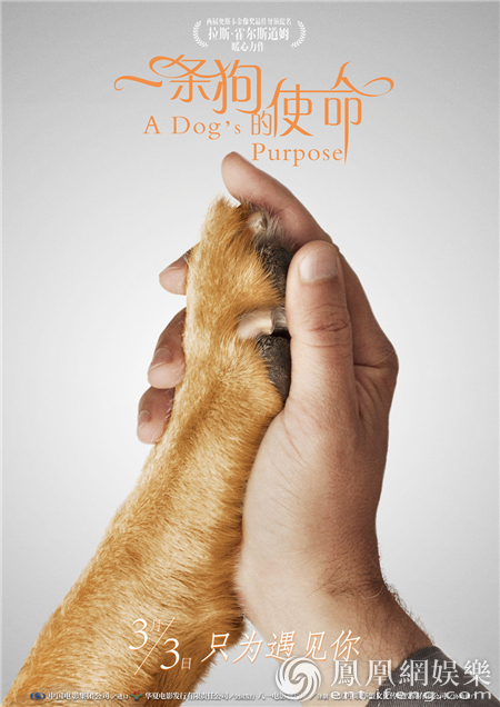 《一条狗的使命》曝携手版海报 暴走助阵声动人心