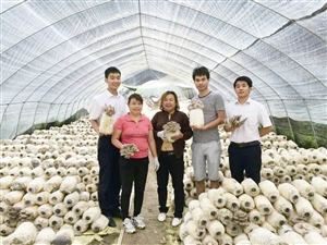 方村镇经济总量第一_巩义市涉村镇第一美女