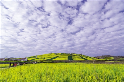 原标题:春到陕南 油菜花海惹人醉 "去年到安康就给我留下了很深的印象