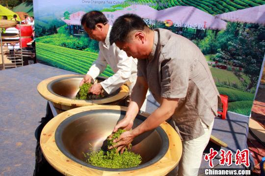 省级非物质文化遗产传承人展示绿茶制作技艺。卢文伟 摄