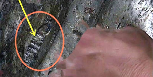 


刻有“外星文字”的神秘陨石，外星的特意问候?
