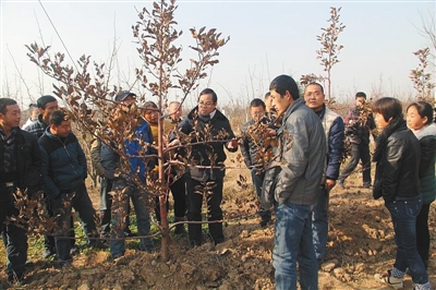 陕西20名职业农民被录取上大学 平均年龄近38