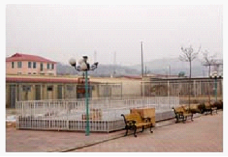 北京最大最专业养狗场总有一只纯种金毛犬宝宝