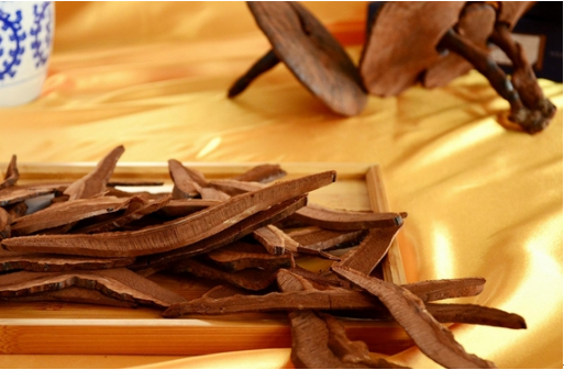 常生病吃点灵芝孢子粉_凤凰厦门