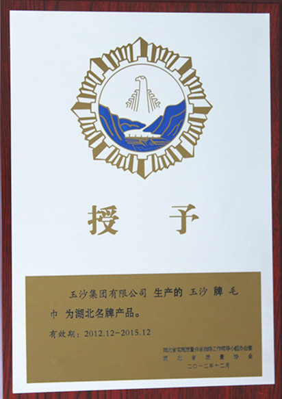 收入证明范本_支出收入表格_新增收入(3)