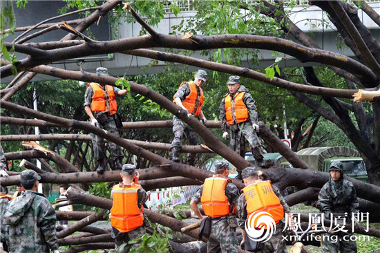 厦门警备区某部400余名官兵辗转厦门、龙岩两