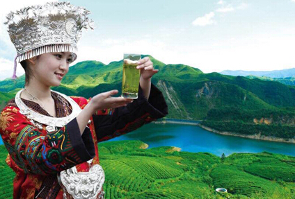 2016都匀毛尖(国际)茶人会在黔南隆重开幕
