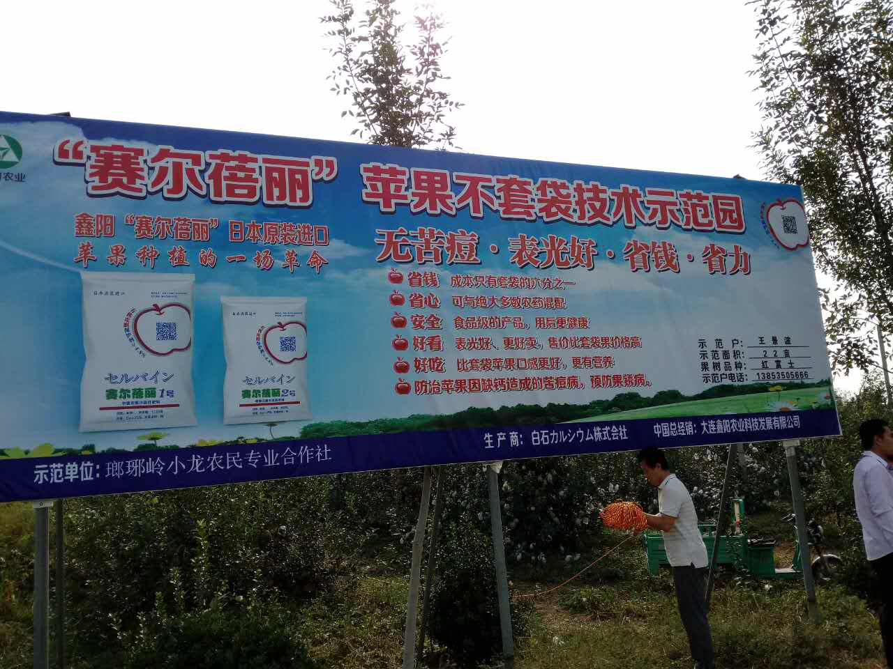 引进国际先进种植技术,盘活苹果产业经济链