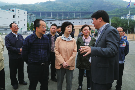 武隆县委书记何平：严格代表提名程序严肃换届