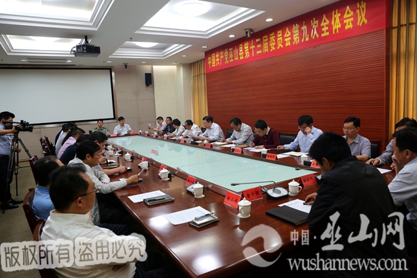 巫山召开第十三届第九次全会 书记李春奎主持