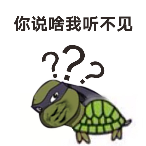 土豪20万购买谦谦宠物龟 掐架龟登报成网红|乌龟| 谦谦_凤凰音乐