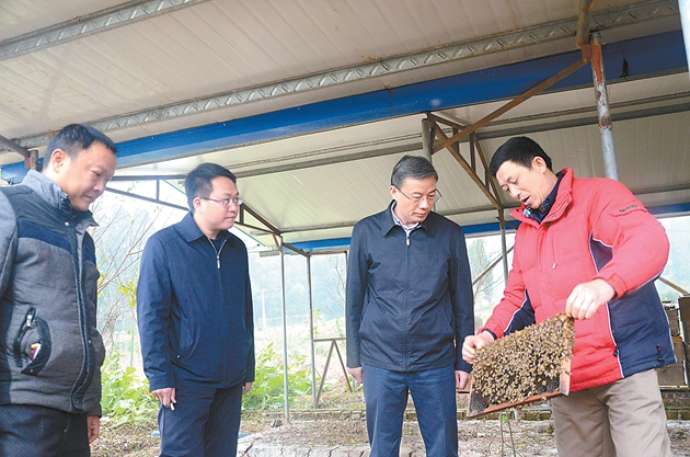 梁平县委书记吴盛海全力抓好产业发展和乡风文明建设