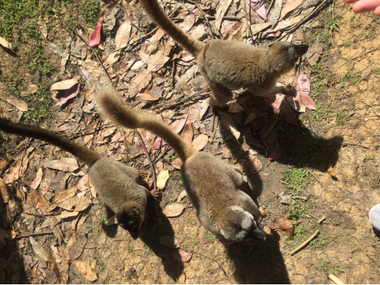 墨眼看世界-辜思历带你去看比电影还精彩的马