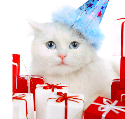 猫咪专用的化毛膏要多少钱,猫草和化毛膏大对