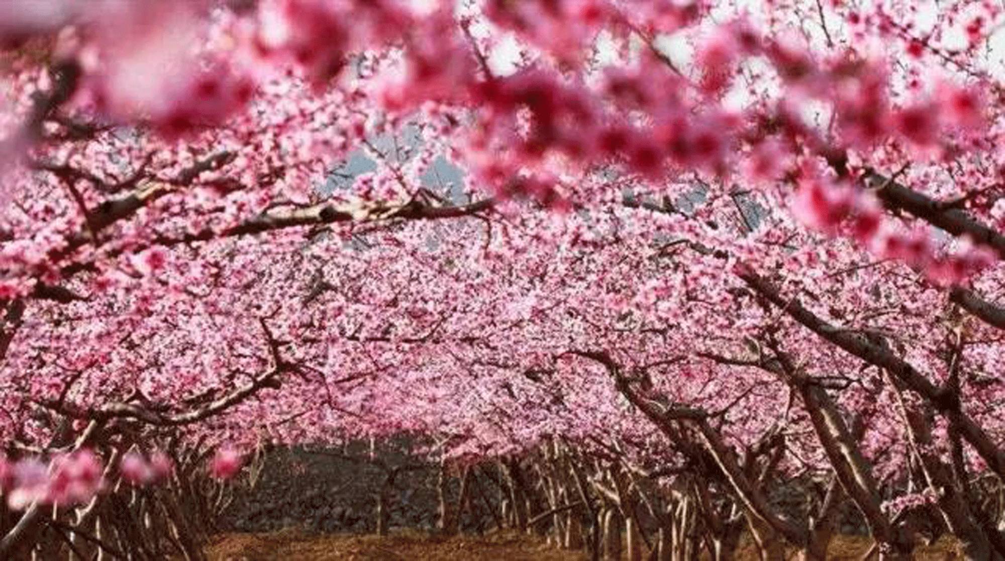 南京人注意!16个好消息震撼来袭,第一个让整个