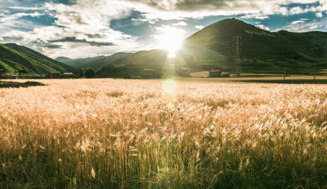 因为一部电影红了的稻城亚丁 春天去刚刚好!_