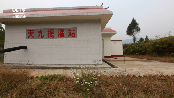 天九幸福控股集团 慈爱天九 善行天下_凤凰商