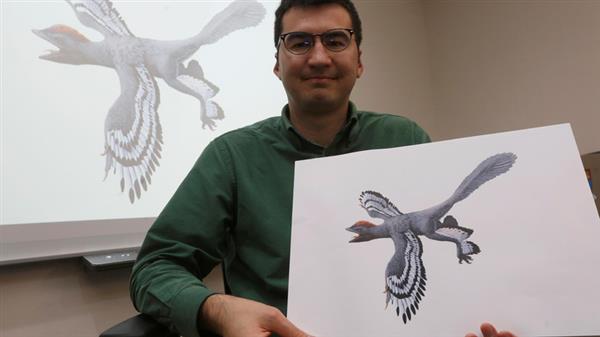 科学家发现全新恐龙物种命名“中华贝贝龙”