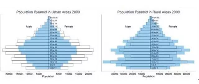 2000年人口_2000年人口流动图示-中国的房价泡沫,可能比你想象的小得多