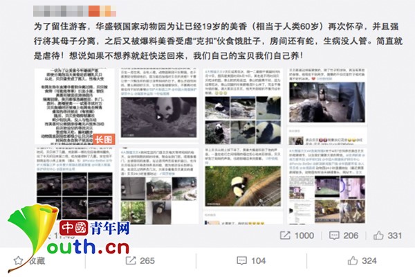 旅美大熊猫遭母子分离还被饿肚子？中国机构辟谣