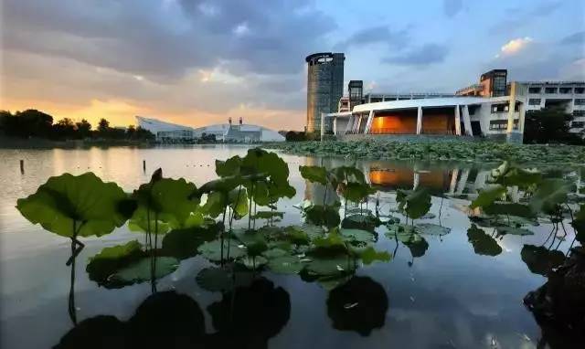 浙江大学校园