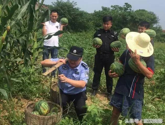 武汉警察直播帮空巢瓜农卖瓜 被批不务正业