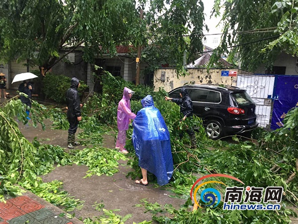 陵水人口_国家统计局副局长毛有丰率督导组赴陵水督导第七次全国人口普查工