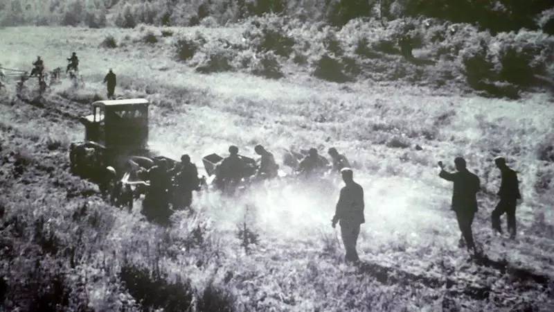 英国小哥到河北塞罕坝避暑 意外收获一个美丽的故事