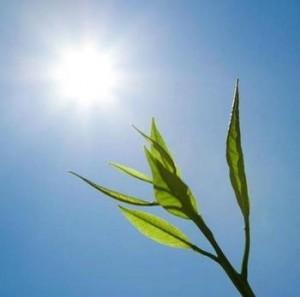 地球上的氧气用得完吗?