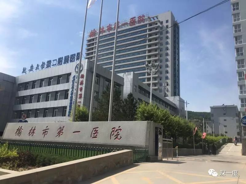 坠楼产妇马茸茸身上未解开的“死亡密码”