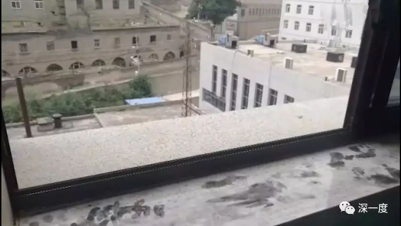 坠楼产妇马茸茸身上未解开的“死亡密码”