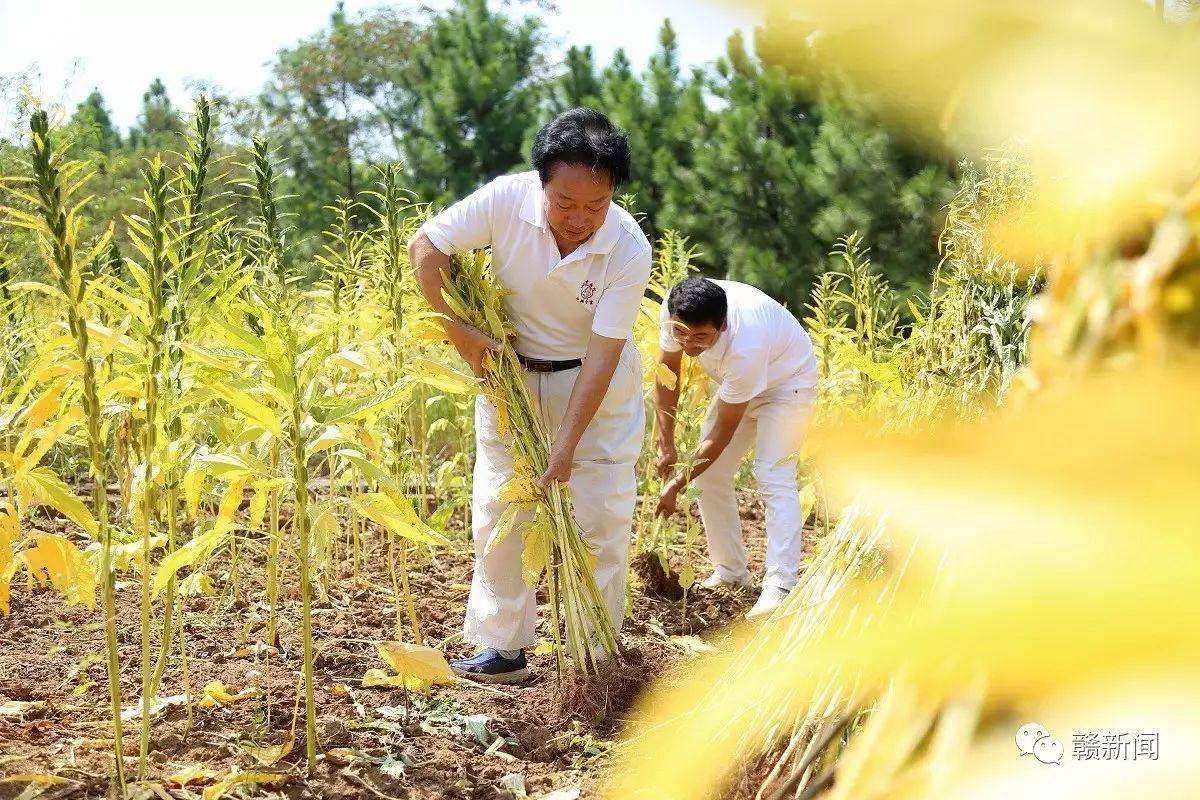 “农民市长”李豆罗退休后的喜乐人生