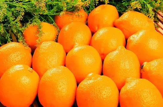 赣南18个县市区哪里脐橙最好吃?由你来告诉大