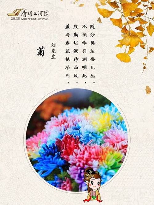 宋代文人赏菊是一种怎样的体验？