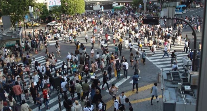 2018中国人口密度_魏东：中国的人口密度决定了不能人人拥有私家车