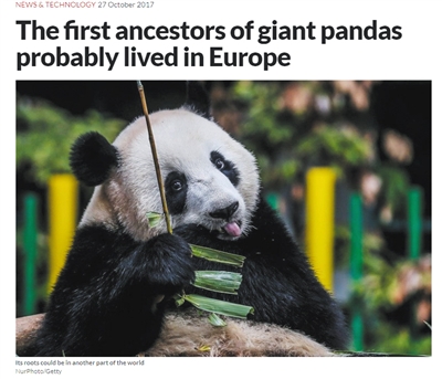 匈牙利现千万年前熊猫化石！咱家国宝起源于欧洲？