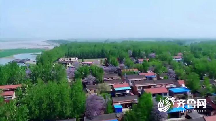 投资260亿 山东努力实现黄河滩区群众安居梦