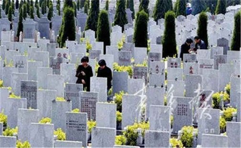 2019年唐山市人口_2019年唐山市丰润区环保分局录取人员公示(2)