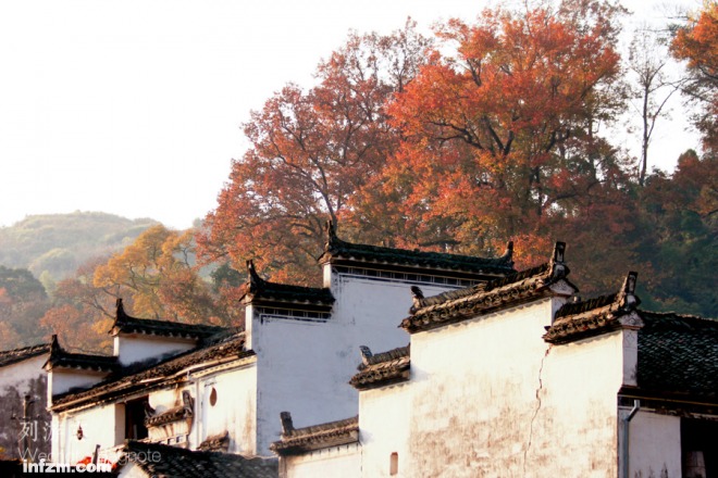 徽派建筑,油菜花也是婺源的卖点.