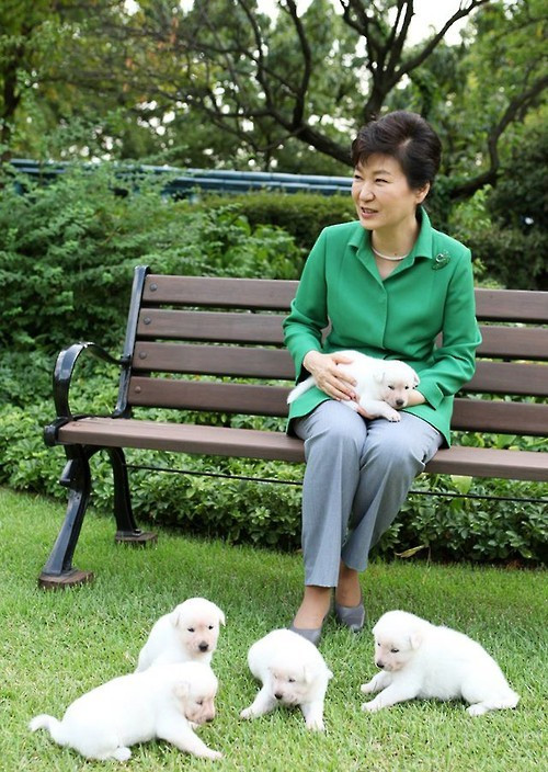 朴槿惠爱犬离开青瓦台后 每天爬山散步生活滋润