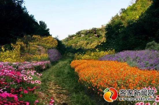 层峦叠翠 赣州马口生态公园令人心旷神怡