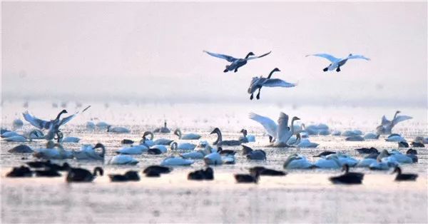 鄱阳湖生态经济区经济总量_鄱阳湖风景图片