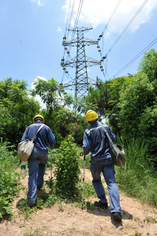 南方电网广东中山供电局供电可靠性连续八年排