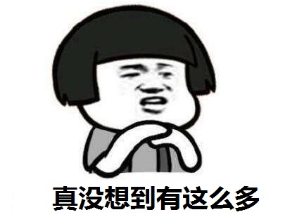 收入证明_xiao8收入(3)