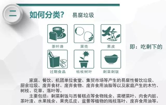 最高罚款5万元！海口生活垃圾未按要求分类的单位个人都将挨罚~