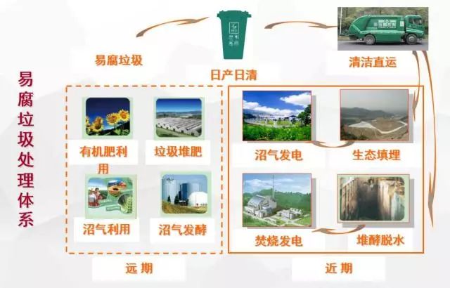 最高罚款5万元！海口生活垃圾未按要求分类的单位个人都将挨罚~